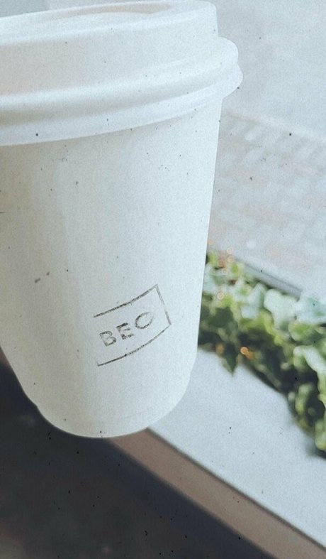 gingergiantess model adult img