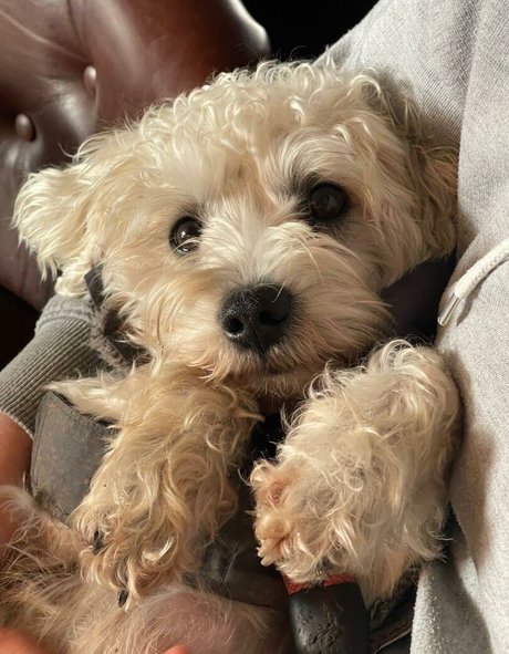 Lottie Blooms nice star pic