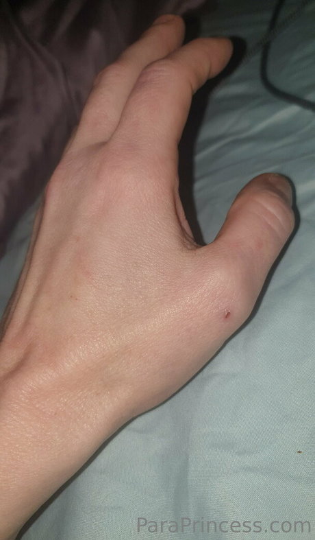 paraprincess free pornstar galleries