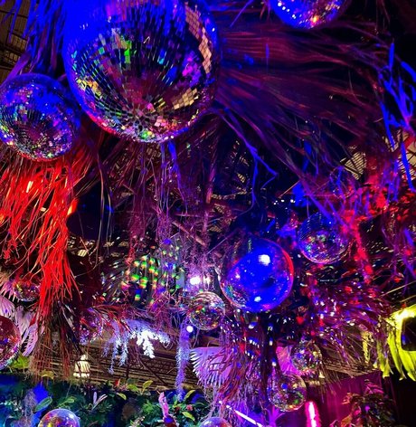 stoneyghostkitten star perfect images