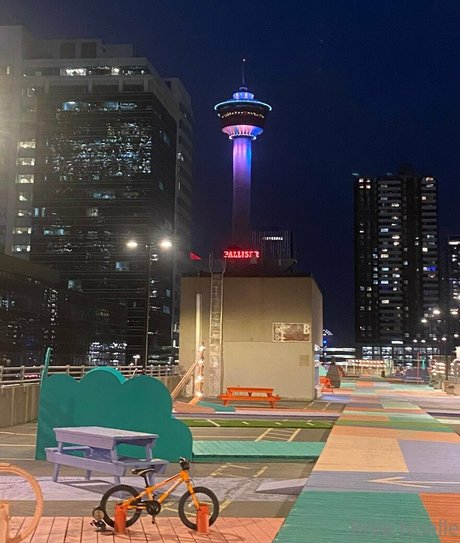 only your bree model top img