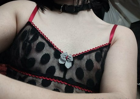 kadthepup best star pics