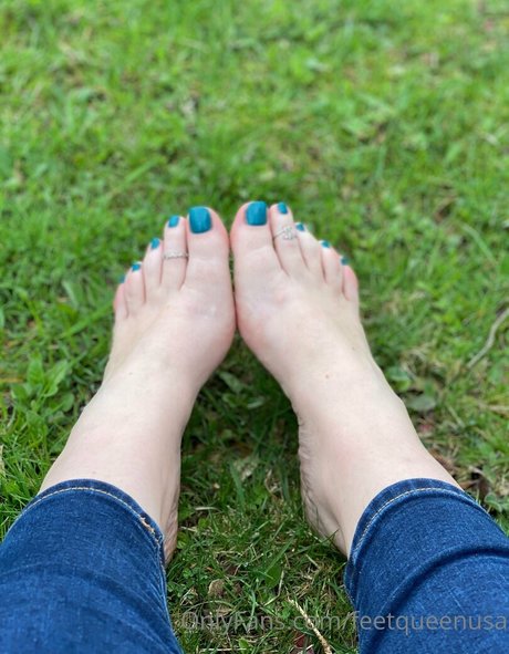 clovers photos nice star image