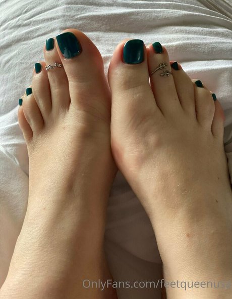 clovers photos star best pics