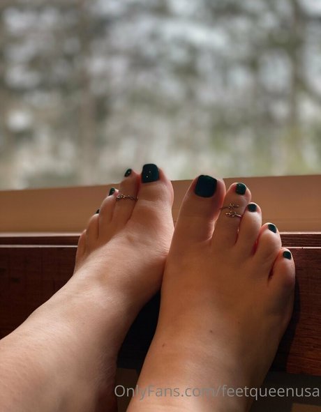 clovers photos star free img