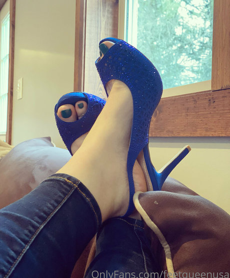 clovers photos high quality star image