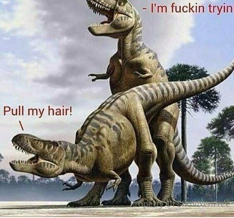 fitness pussy onlyfans free naked pic