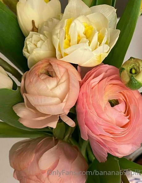 asian blowjob onlyfans perfect galleries