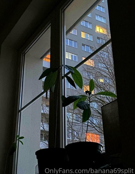 banana69split high quality actress photo