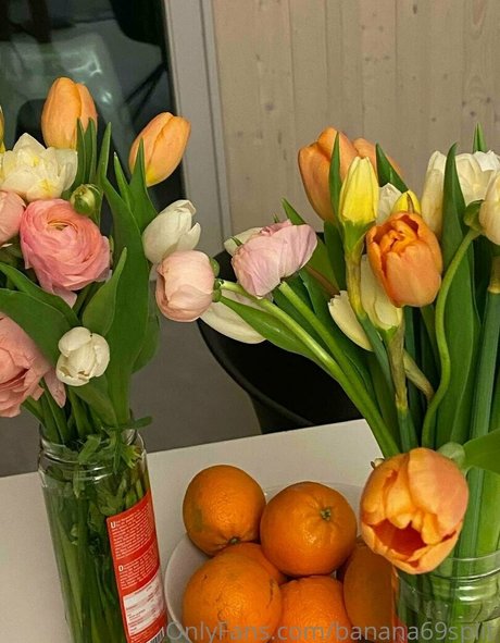 banana69split hot pornstar archive