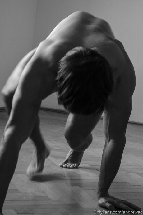 andrewad pornstar nudes photos