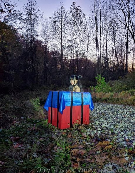 mewmewkarifree best pornstar gallery