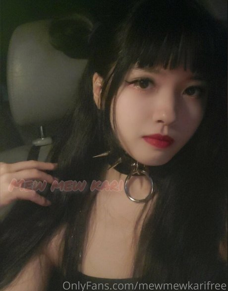 mewmewkarifree adult actress archive