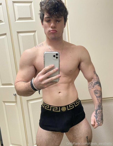 deek aesthetic hd pornstar archive