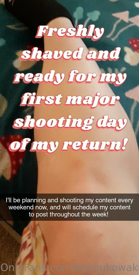 keyoukowaku star art archive