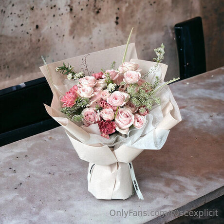 r0seexplicit adult star galleries