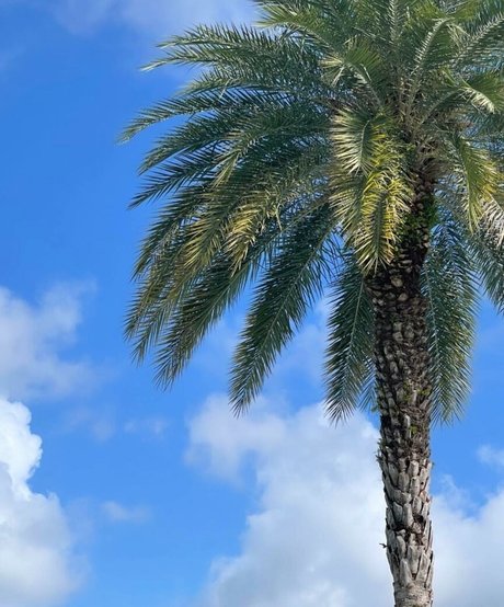 Ashley Hackel model xxx gallery