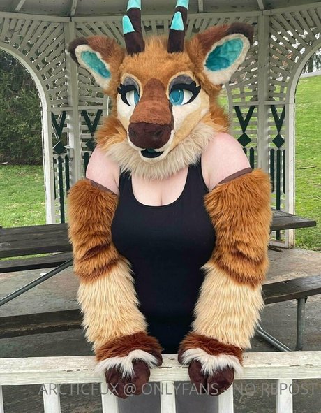 arcticfux nude star img