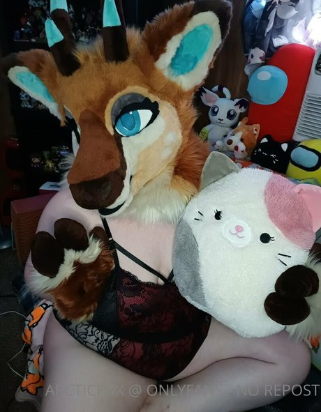 arcticfux star hd pic