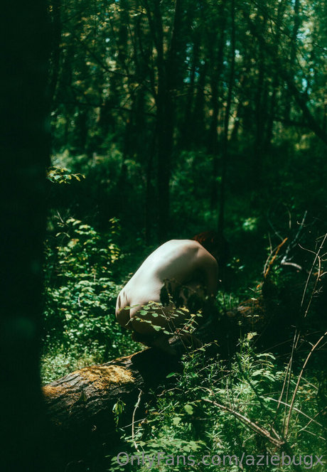 aziebugx porn star pictures