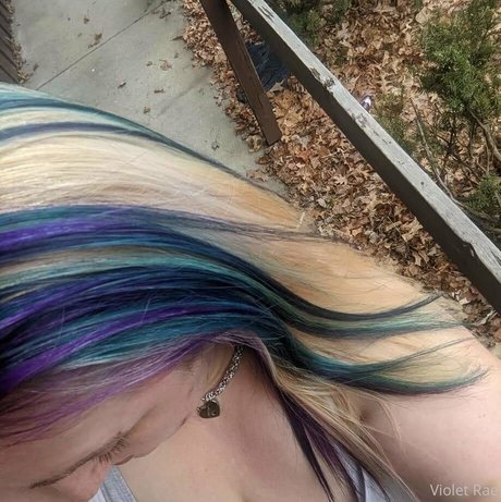 naughty kitten84 star free image