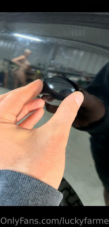 luckyfarmer art star pictures