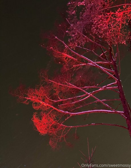 teen doggystyle onlyfans best photos