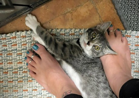 meaty pussy onlyfans free xxx pics