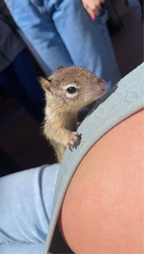 Emma R B sexy actress galleries