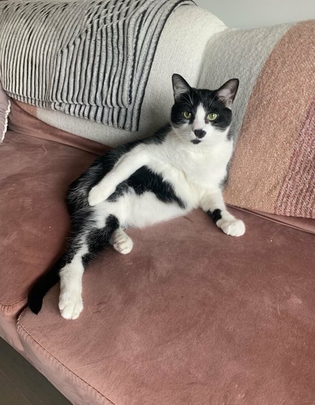 lauuu x perfect model photo