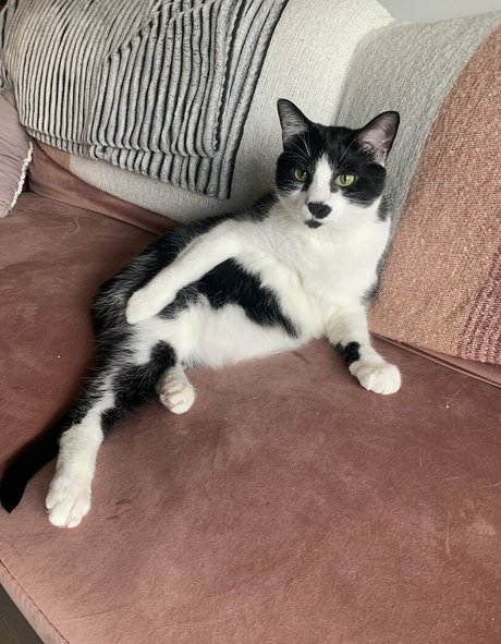 lauuu x erotic pornstar archive