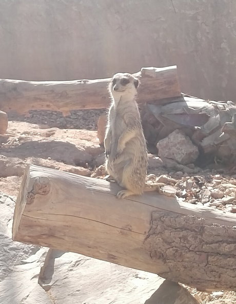 bunny xxx onlyfans porn image