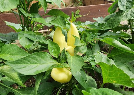 cute anal onlyfans free xxx picture