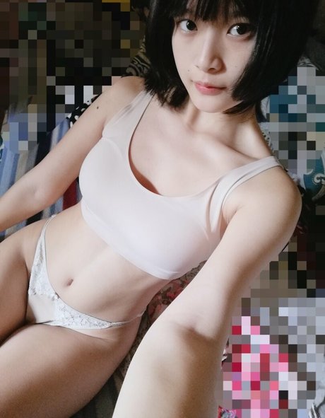 FurarOoO model images