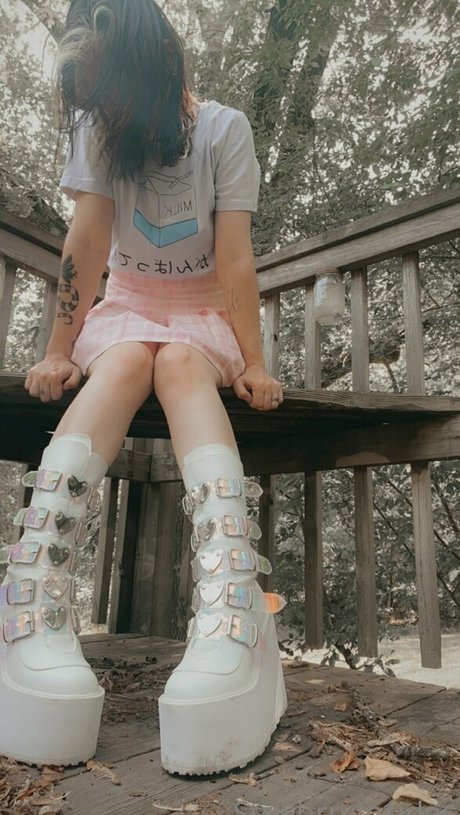 viinusflytrap sexy star img