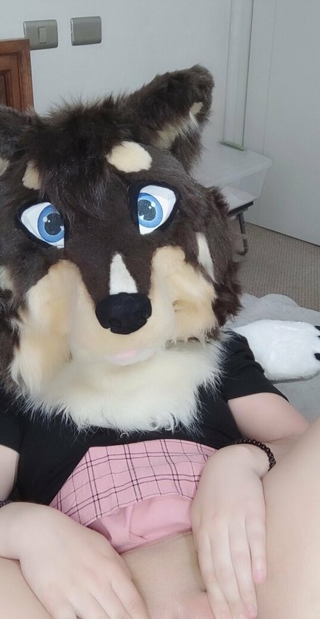 naughtycolliead pornstar top image