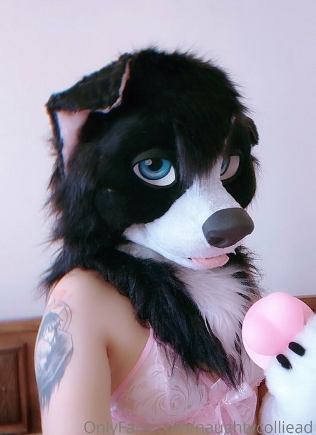 naughtycolliead star exclusive img