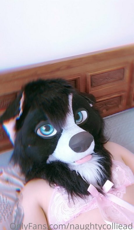 naughtycolliead star high quality pics