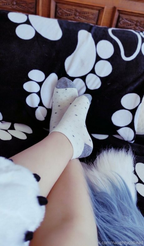 naughtycolliead beautiful star image