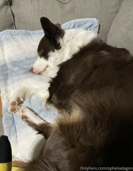 onlineevie best pornstar pictures