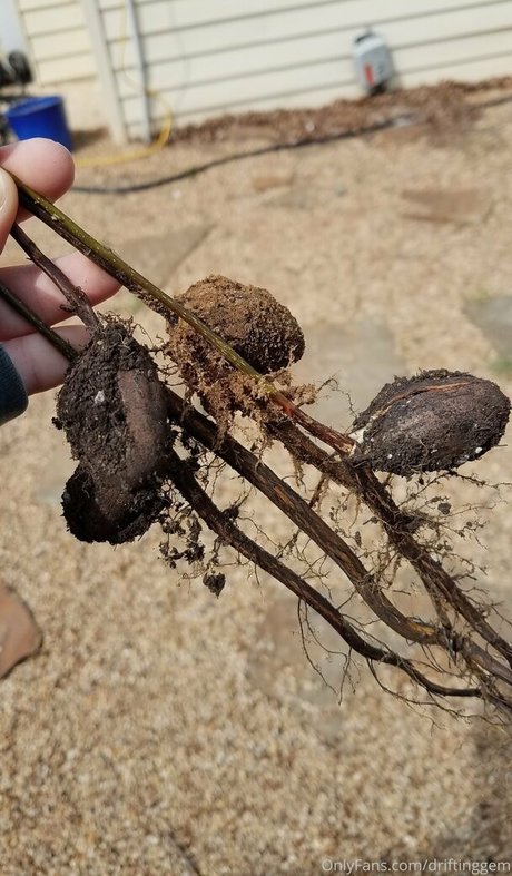 driftinggem pretty model photo