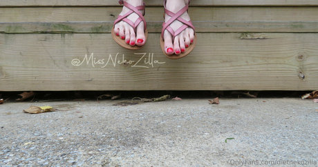 dietnekozilla model erotic photos