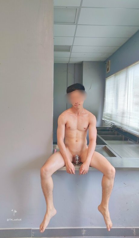 th cellox high quality model galleries