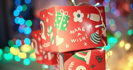 th cellox perfect model photo