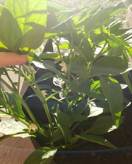 hot teen onlyfans sexy nudes images