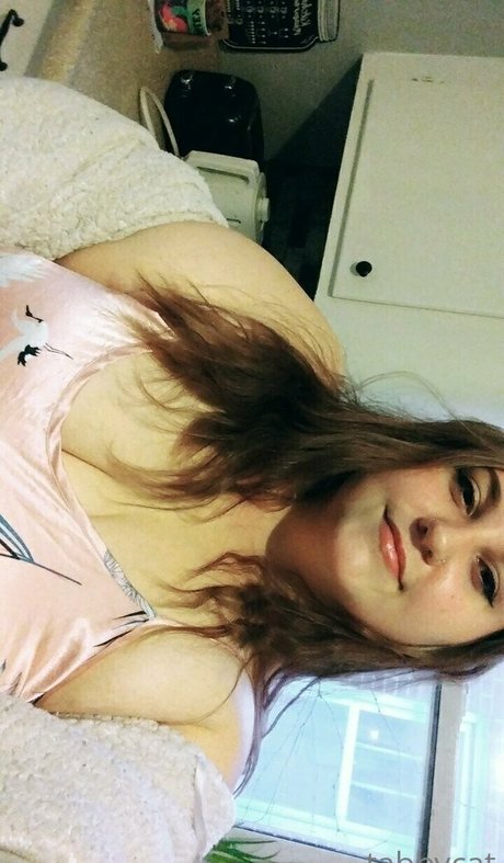 tabby cat95 nudes pornstar galleries