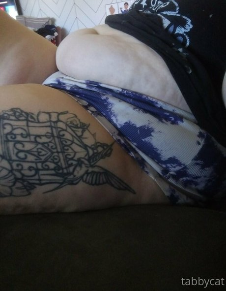 tabby cat95 sex pornstar archive