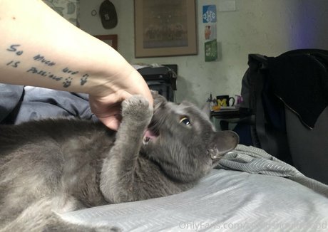 college girl onlyfans art naked images