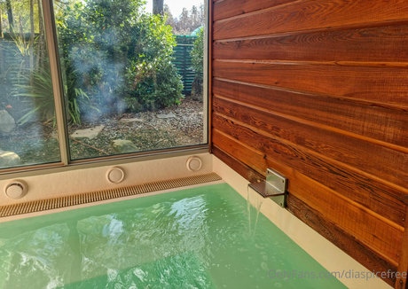 diaspicefree hd model photos