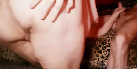catsmeoww7 star nice pics